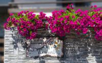 B&B Alfio Tomaselli - B&B