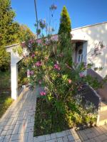 Stylish apartment with sea view - B&B Petrcane