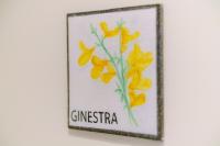 Zimmer mit Queensize-Bett und Balkon