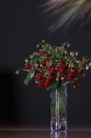 Kalniem Pāri Guest House - B&B Nīgrande