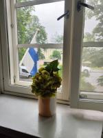 Studio in Kallio - Ferienwohnung Helsinki