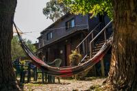 Apartment - Erdgeschoss