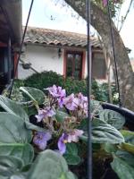 B&B Coatepec - Hotel Boutique Casabella - Bed and Breakfast Coatepec