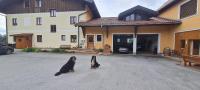 Bauernhof-Loft Edtgut - Bed and Breakfast