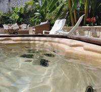 La petite Niçoise au Jacuzzi à 3 min de la mer - B&B