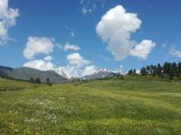 Lia's Guest house Tsvirmi - Ferienwohnung Mestia