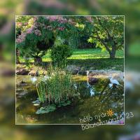 Norbi Vendégház - B&B Balatonszárszó