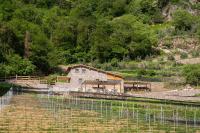 Agriturismo Scraleca - B&B