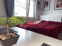 B&B Keulen - Apartment Cologne - Bed and Breakfast Keulen