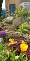 Colourful, cosy city home - B&B