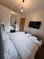 Vila Peković Blue A17 sa garažom-Zlatibor - B&B Zlatibor