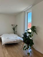 The R Apartment Passwang, Balkon, Kostenloses Indoor-Parking - Ferienwohnung Balsthal