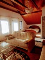 Studio 45 sqm with mountain view - B&B Porumbacu de Sus