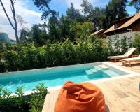 PineTrees Beach House with swimming pool - B&B Golem