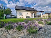 Lawendowy Zakątek Pod Śnieżką - B&B Miłków