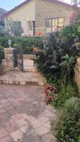 Apartment Dmitr Petrovac - B&B