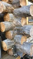Luxury Log Villa by Invisible Forest Lodge - Bed and Breakfast Rovaniemi