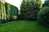D12 Apartment Budapest - Ferienwohnung Budapest