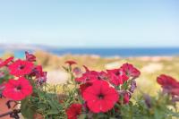 Ancóramare view - B&B Stintino