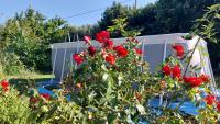 NAT Apartments - Bed and Breakfast Koper