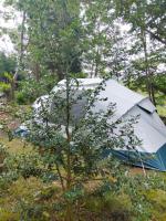 Tent met 2 Slaapkamers 