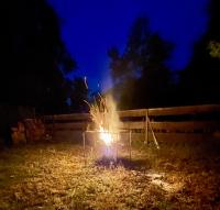 Art Apartments - Domki nad Morzem Dębki - B&B Odargowo