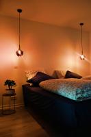 Le Loft Pasteur - B&B