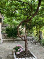 B&B Gjirokastra - Isaraj Guest House - Bed and Breakfast Gjirokastra