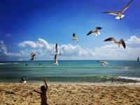 Mayalun apartment 3C - B&B Playa del Carmen