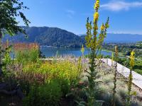 Apartment Augenweide - B&B Annenheim