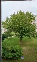 Apartament Mazury - B&B