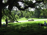 The Coach House within heritage Tregrehan Garden on Cornwall's South Coast - Chambres d'hôtes Carlyon Bay