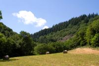 Auberge de Lascours - B&B Ceilhes