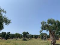 Apartment - Erdgeschoss