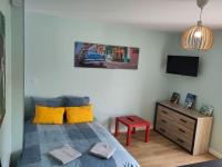 B&B Vic-sur-Cère - appartement refait à neuf pour 3 personnes avec wi-fi - Bed and Breakfast Vic-sur-Cère