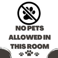 Standaard Kamer met Queensize Bed