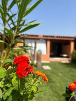20 steps from the beach VILLINO STECU - B&B Costa Rei