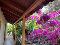 B&B Agioi Apostoloi - Ideal Cottage Holidays-Ιδανικές Εξοχικές Διακοπές - Bed and Breakfast Agioi Apostoloi