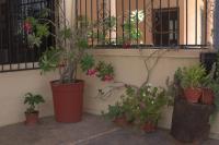 La Casa del Chac - Bed and Breakfast Mérida