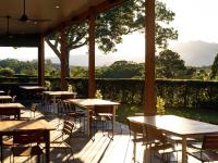 The Lodge Bellingen