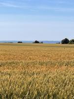 Munkgaard INN & OUTDOOR - B&B Rødvig