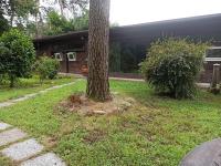 l'oasi nel bosco - Bed and Breakfast