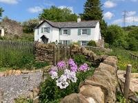 B&B Swansea - The Little Grebe - Bed and Breakfast Swansea