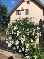 Pokoje goscinne na Wodnej - Bed and Breakfast Lidzbark