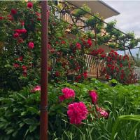 Apartman Perper 2 Trebinje - Ferienwohnung