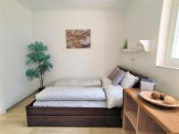 Appartamento Monolocale