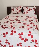 Greens Springs Appartment - B&B Cape Coast