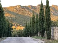 Mas Orchis - B&B Cazevieille