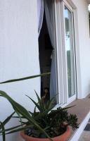 NEW! Apartment TerraZen Split - free car parking - B&B