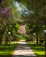 Green Park Divjake - B&B Divjakë